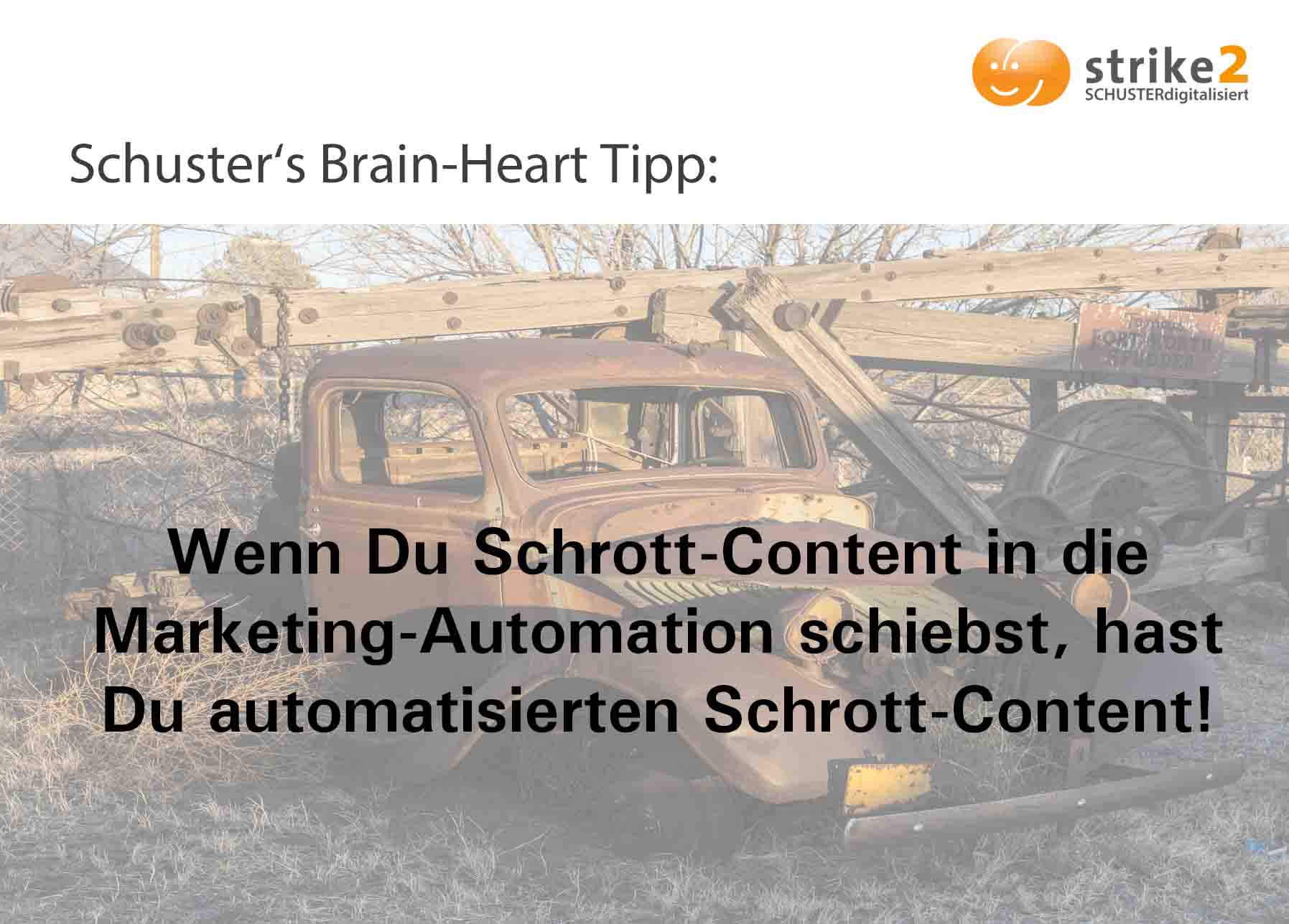 Schusters Brain-Heart-Tipp_WEB-min